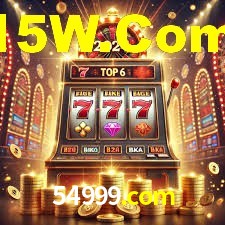 Premium Interface 54999.com
