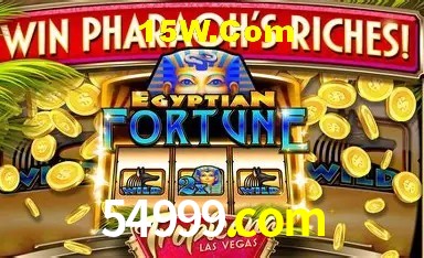 Experiência VIP 54999.com